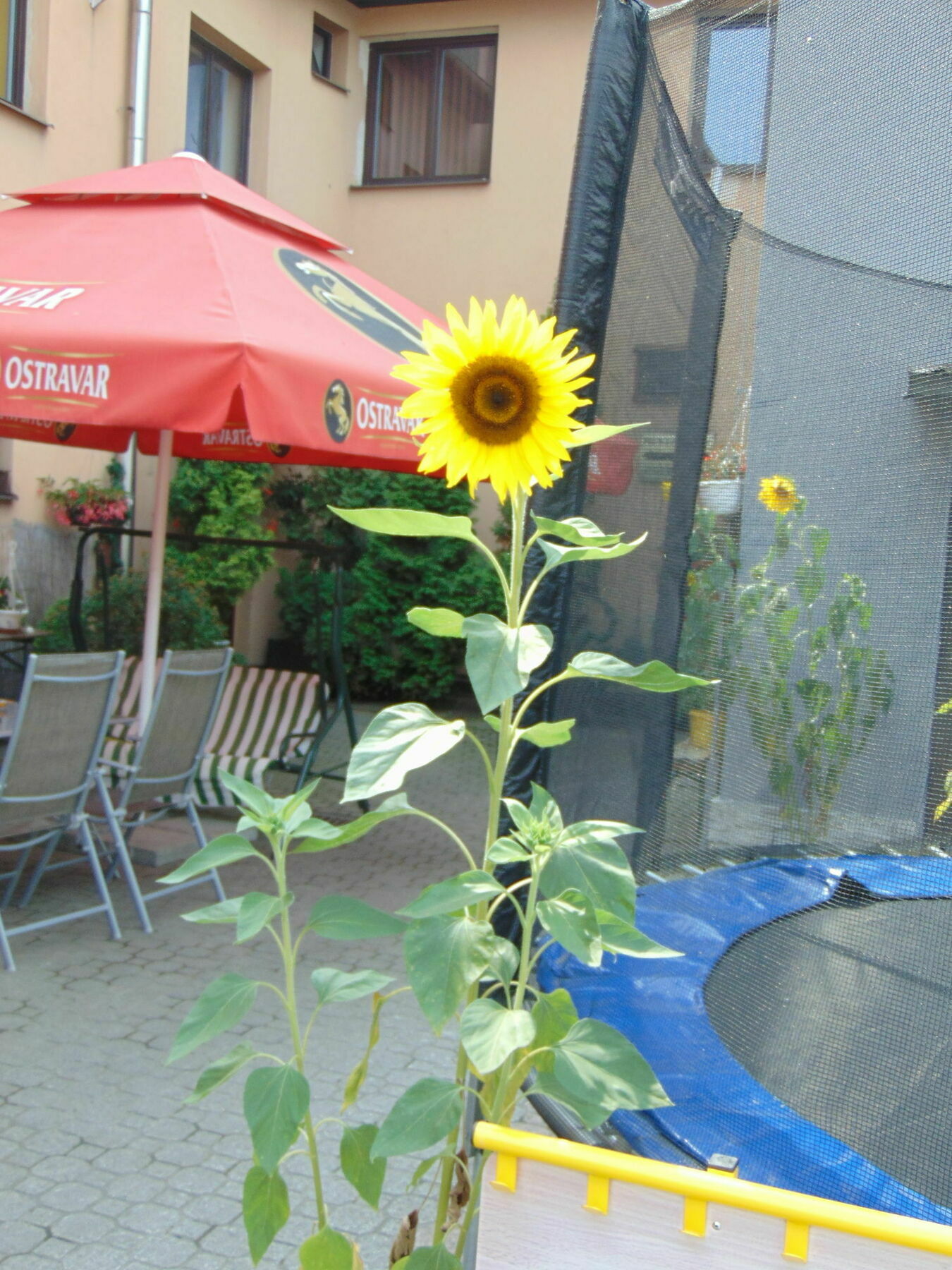 Hotel Isora Ostrava Exterior photo